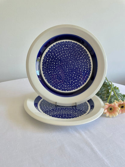 Arabia Finland Blue Flower FAENZA Breakfast sets