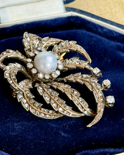 Antique Victorian Diamond and Pearl Brooch